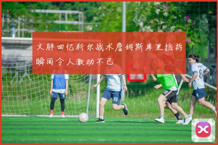 文胖回忆科尔战术詹姆斯库里挡拆瞬间令人激动不已
