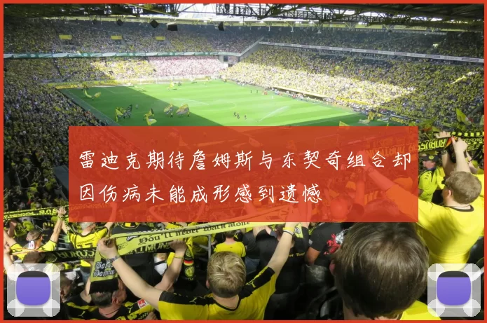 雷迪克期待詹姆斯与东契奇组合却因伤病未能成形感到遗憾
